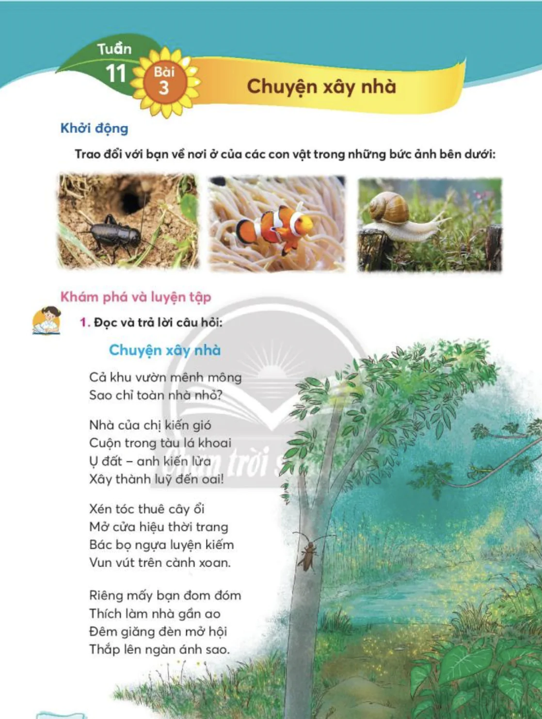 Ước mơ tuổi thơ_Tuần 11