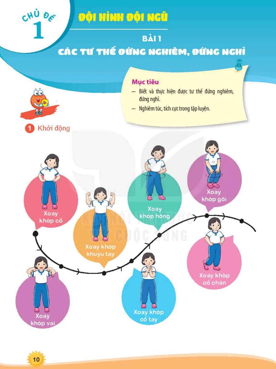 VẬN ĐỘNG CƠ BẢN - Chủ Đề 1: Đội Hình Đội Ngũ