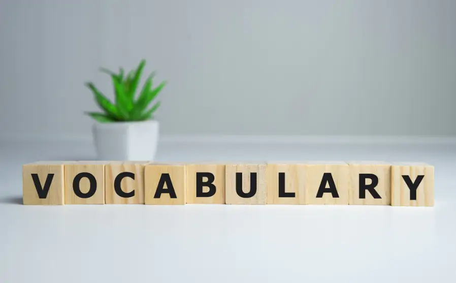 Vocabulary Builder