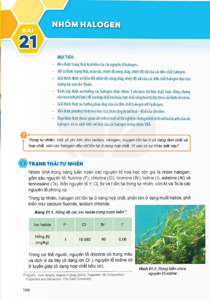 Bài 21: Nhóm halogen | Giải bài tập Hóa học 10 | Chương 7: Nguyên Tố ...