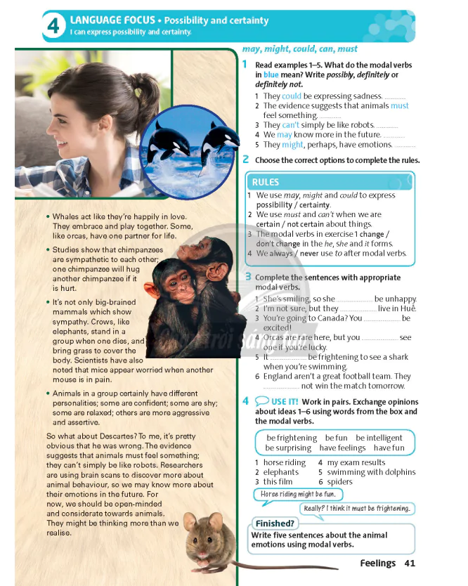 4: LANGUAGE FOCUS - Possibility and certainty