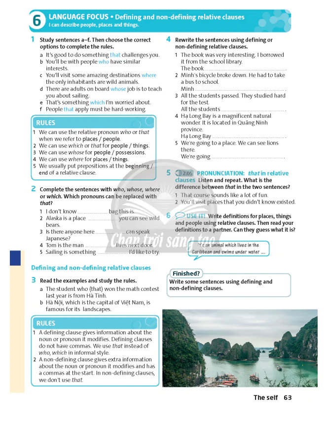 6: LANGUAGE FOCUS - Defining and non-defining relative clauses
