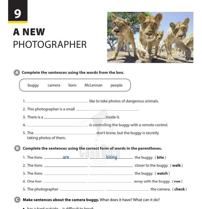A new photographer