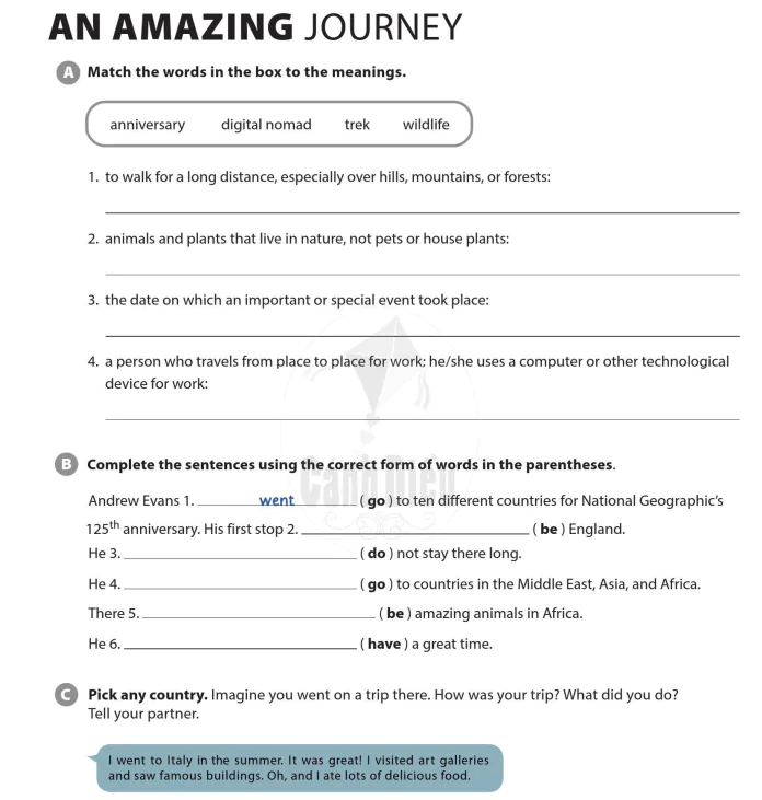 An amazing journey