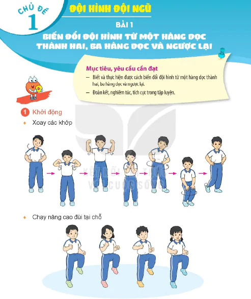 Bài 1. Biến đổi đội hình từ một hàng dọc thành hai, ba hàng dọc và ngược lại