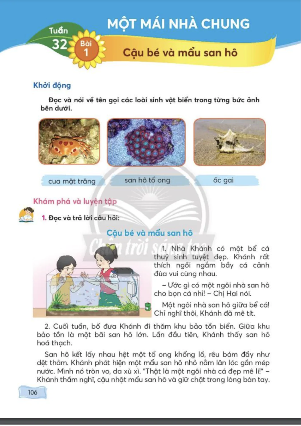 Bài 1: Cậu bé và mẩu san hô