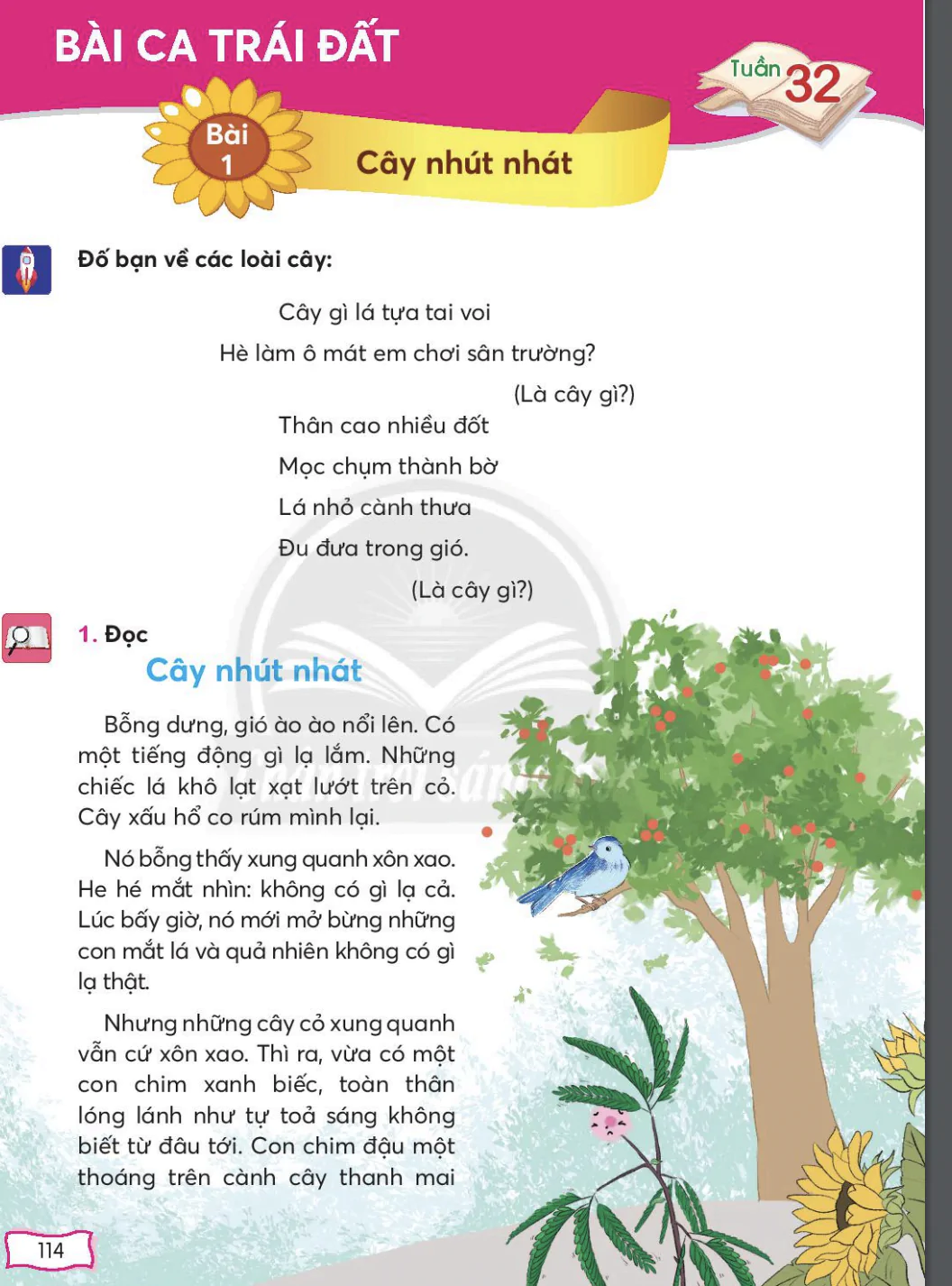 Bài 1: Cây nhút nhát