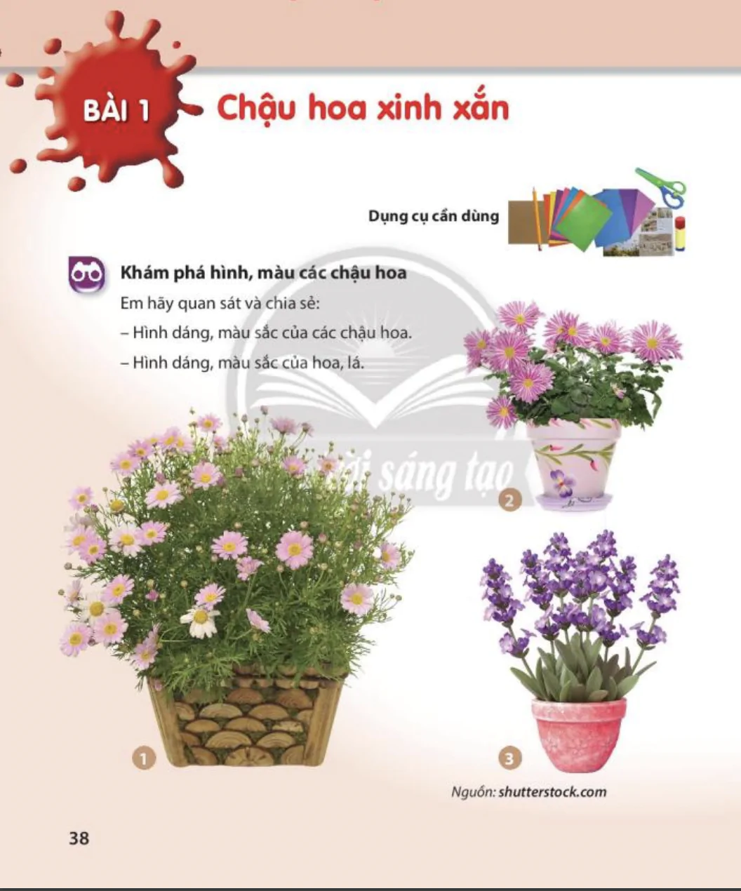 Bài 1: Chậu hoa xinh xắn