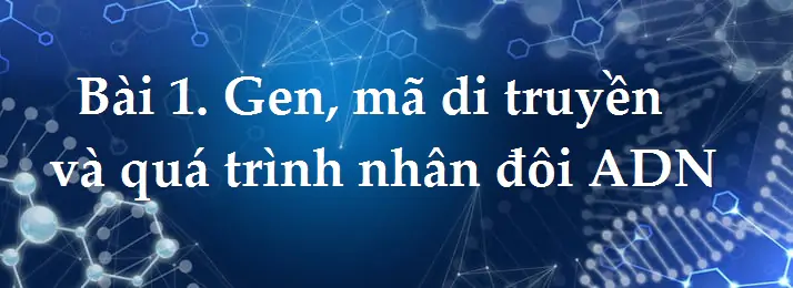 Bài 1: Gen, mã di truyền và quá trình nhân đôi của ADN