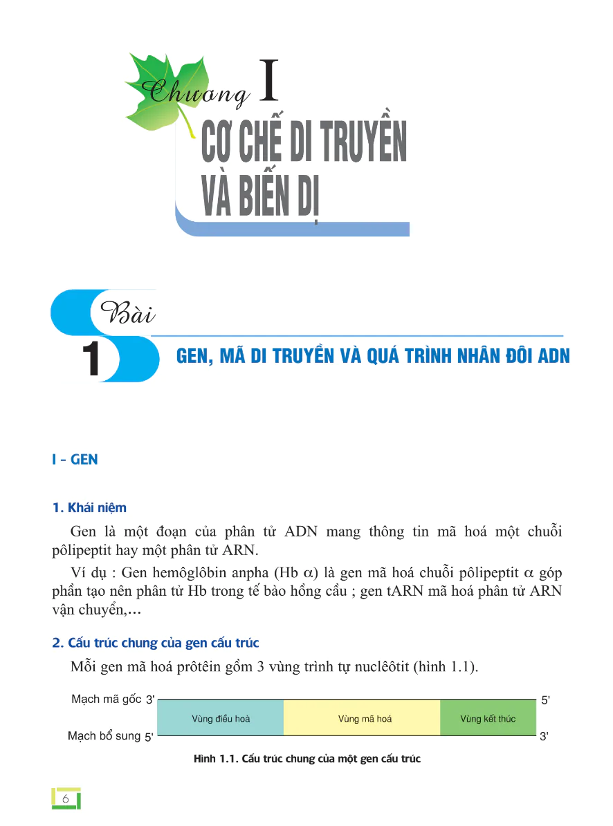 Bài 1: Gen, Mã Di Truyền Và Quá Trình Nhân Đôi