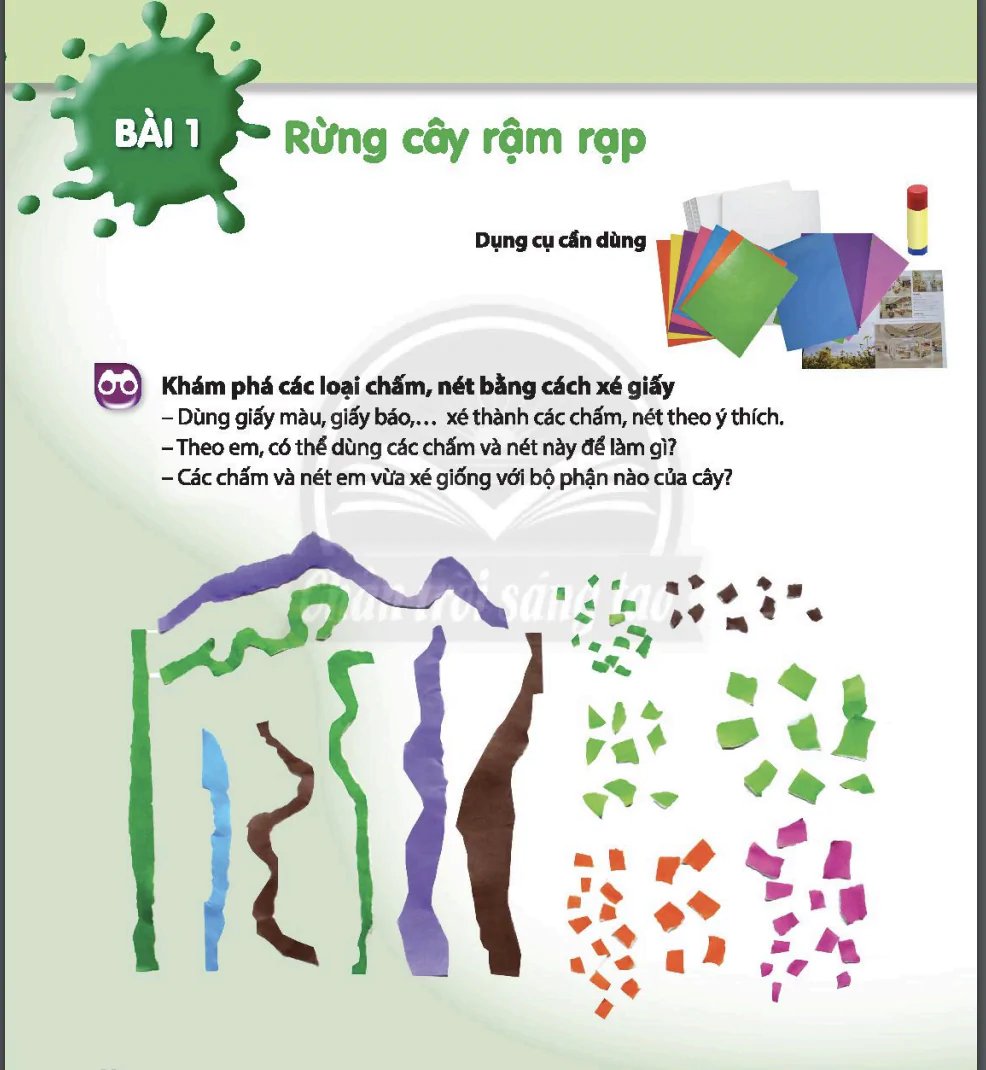 Bài 1: Rừng cây rậm rạp