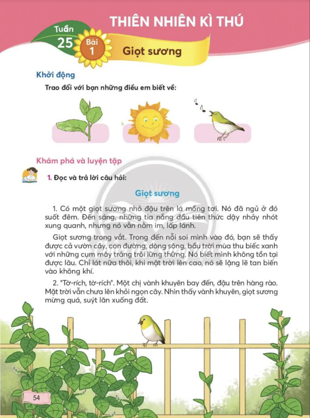 Bài 1: Thiên nhiên kì thú