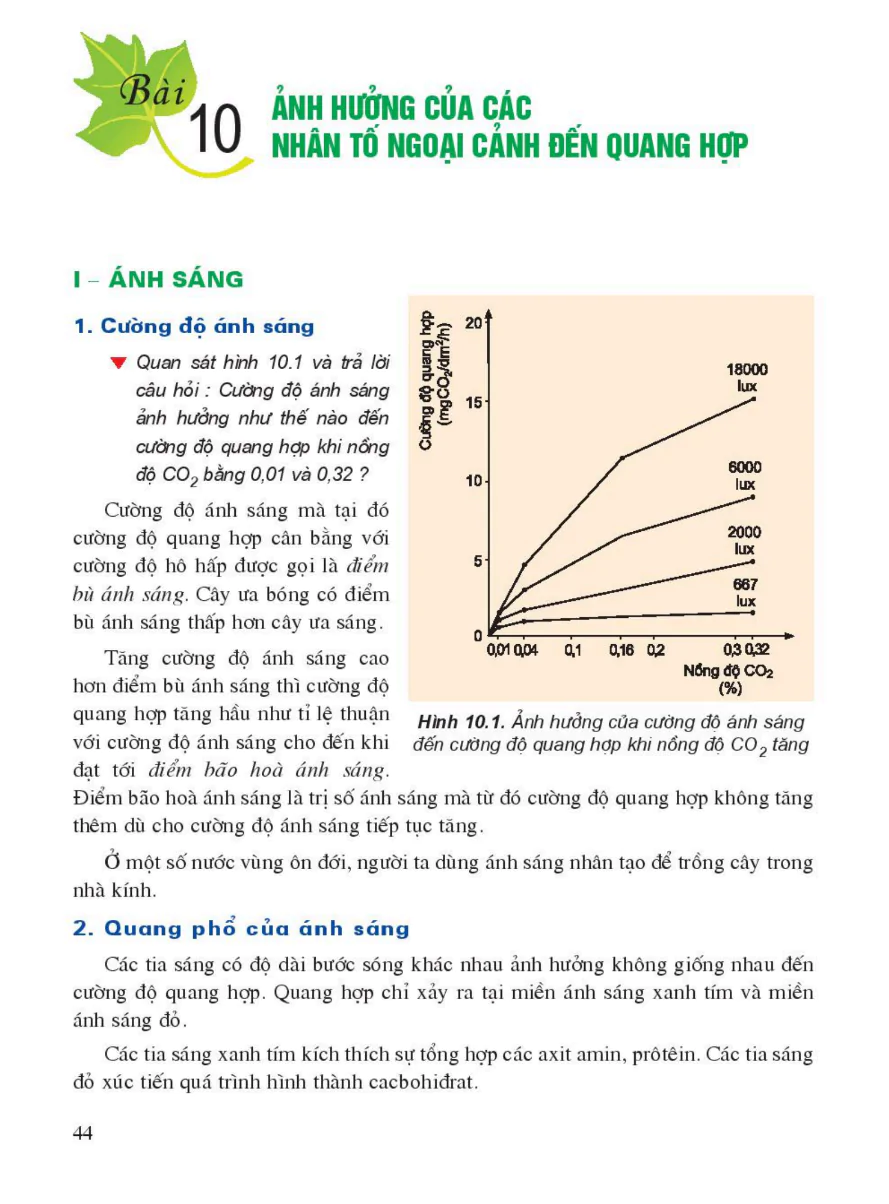 Bài 10: Ảnh Hưởng Của Các Nhân Tố Ngoại Cảnh Đến Quang Hợp