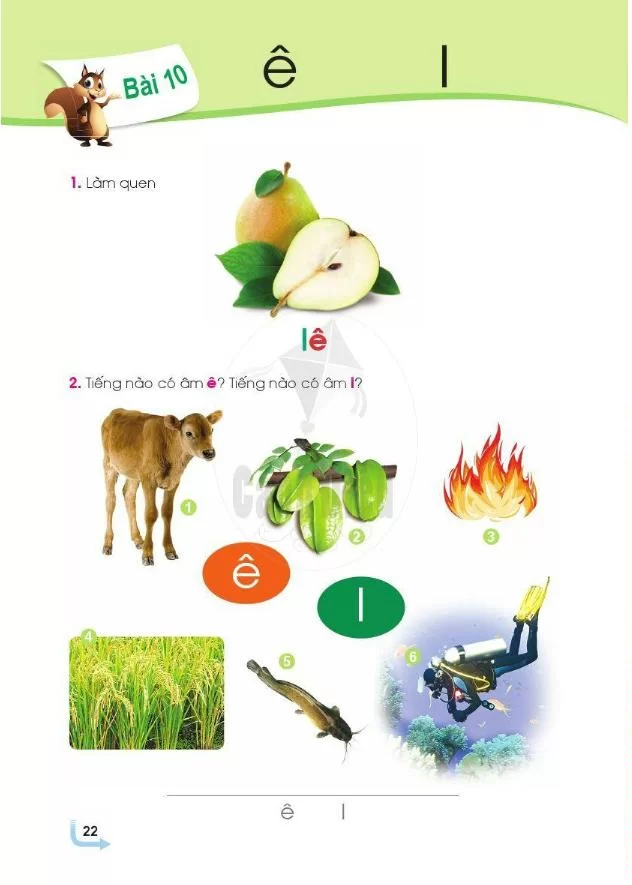 Bài 10: ê và l