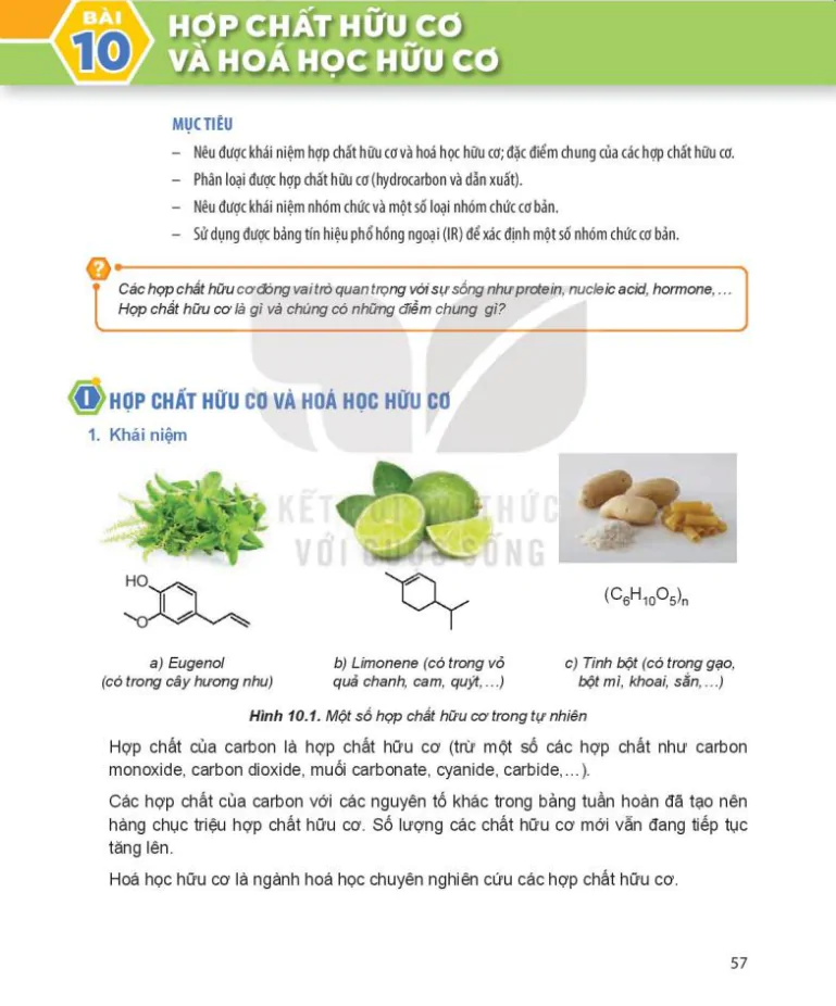 Bài 10: Hợp chất hữu cơ và hoá học hữu cơ