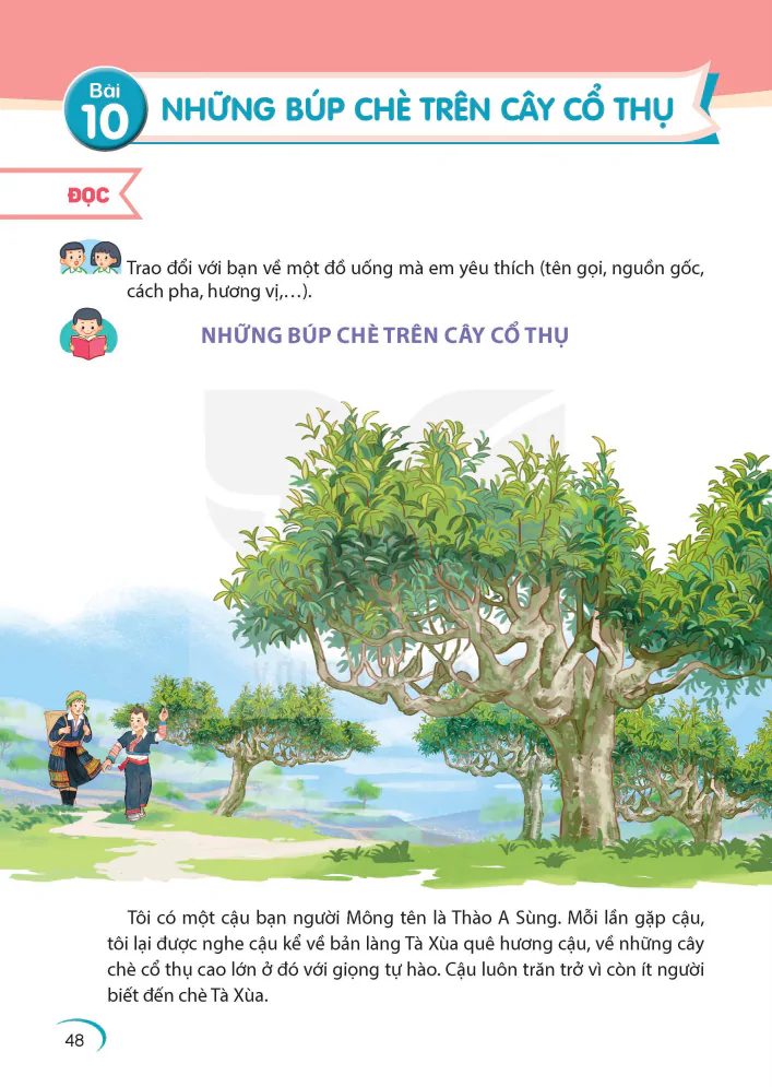 Bài 10: Những Búp Chè Trên Cây Cổ Thụ