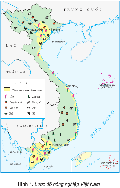 Bài 10: Nông nghiệp