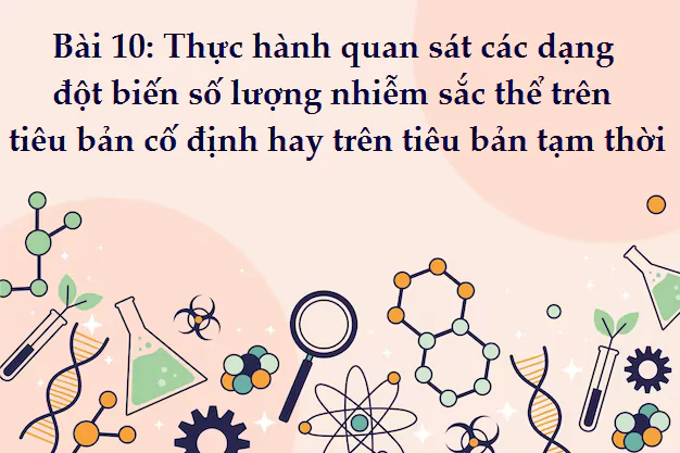Bài 10: Thực hành quan sát các dạng đột biến số lượng nhiễm sắc thể trên tiêu bản cố định hay trên tiêu bản tạm thời