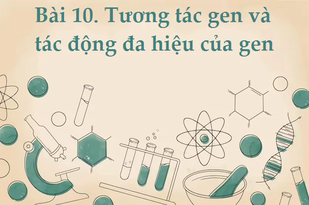Bài 10. Tương tác gen và tác động đa hiệu của gen