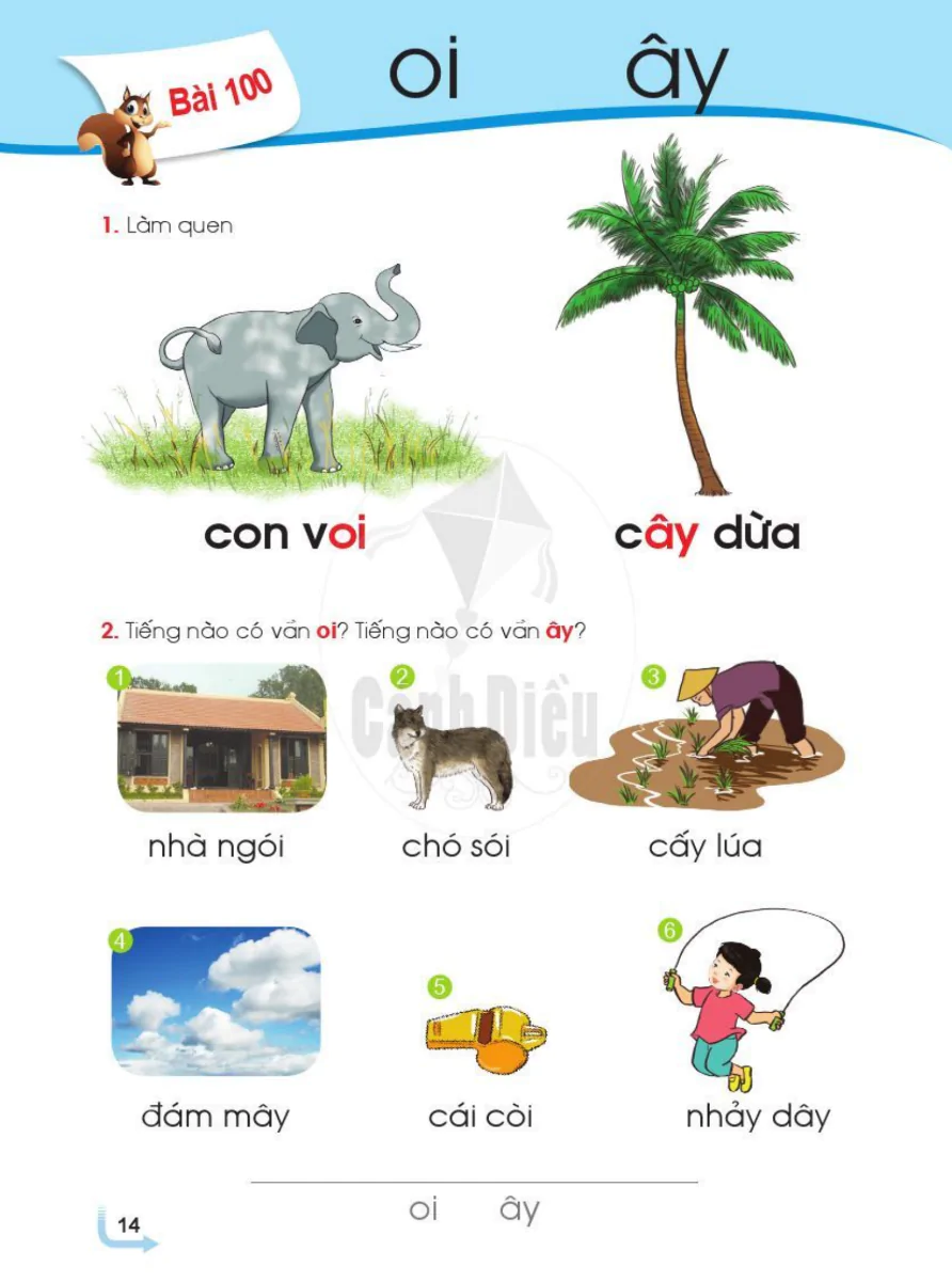 Bài 100: oi ây