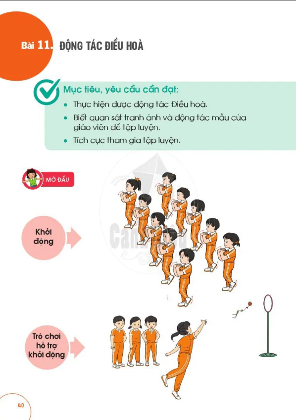BÀI 11: ĐỘNG TÁC ĐIỀU HÒA