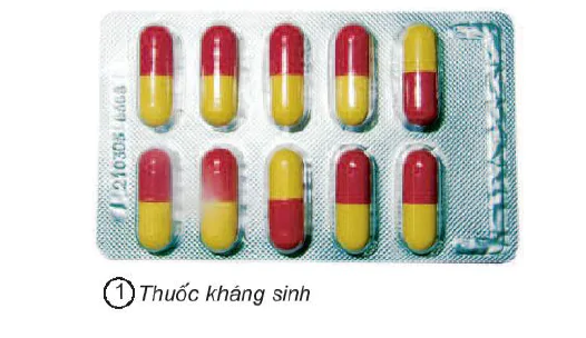 Bài 11. Dùng thuốc an toàn