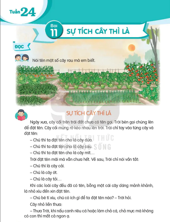 Bài 11: SỰ TÍCH CÂY THÌ LÀ