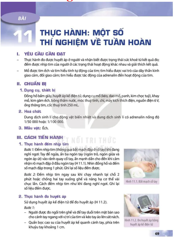 BÀI 11: THỰC HÀNH: MỘT SỐ THÍ NGHIỆM VỀ TUẦN HOÀN