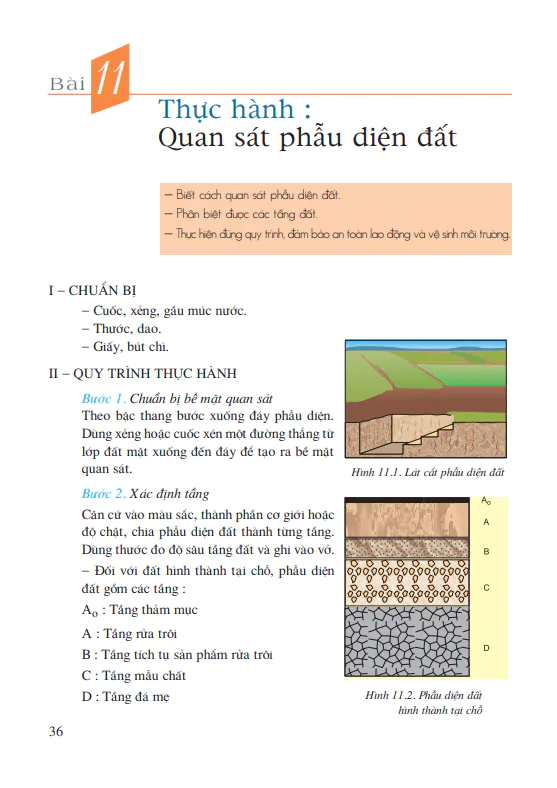 Bài 11: Thực hành: Quan sát phẫu diện đất