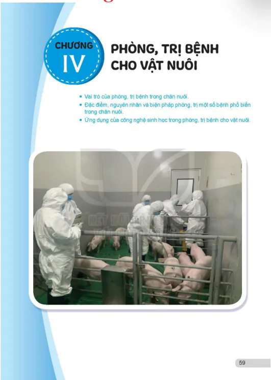 Bài 11: Vai trò của phòng, trị bệnh trong chăn nuôi