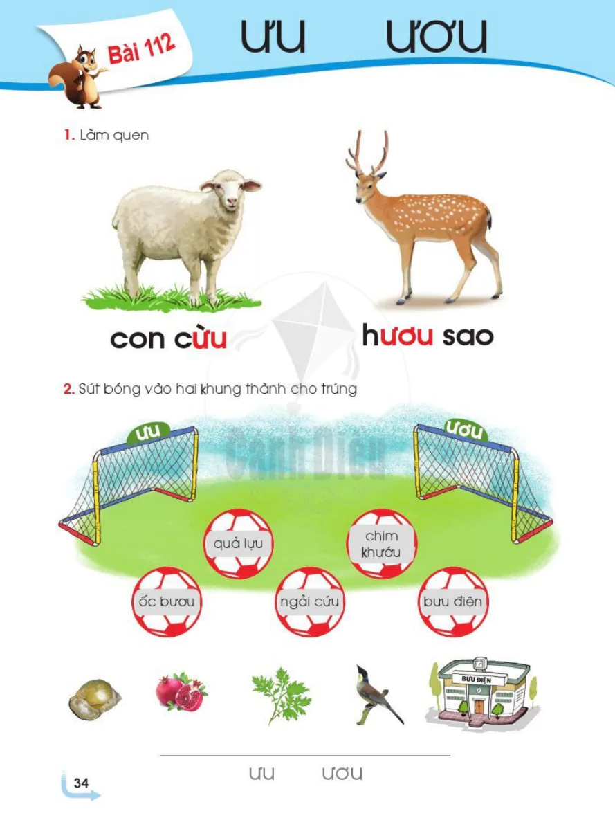 Bài 112: ưu ươu