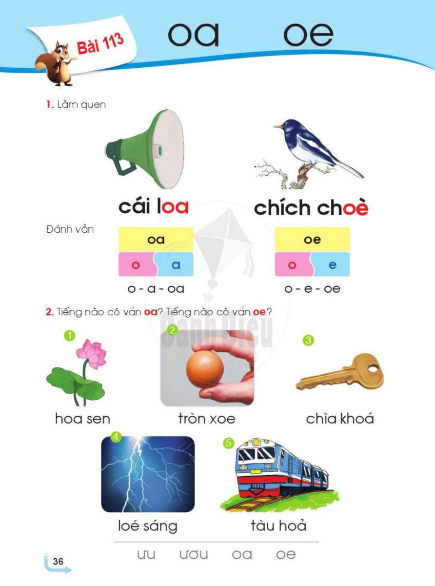 Bài 113: oa oe