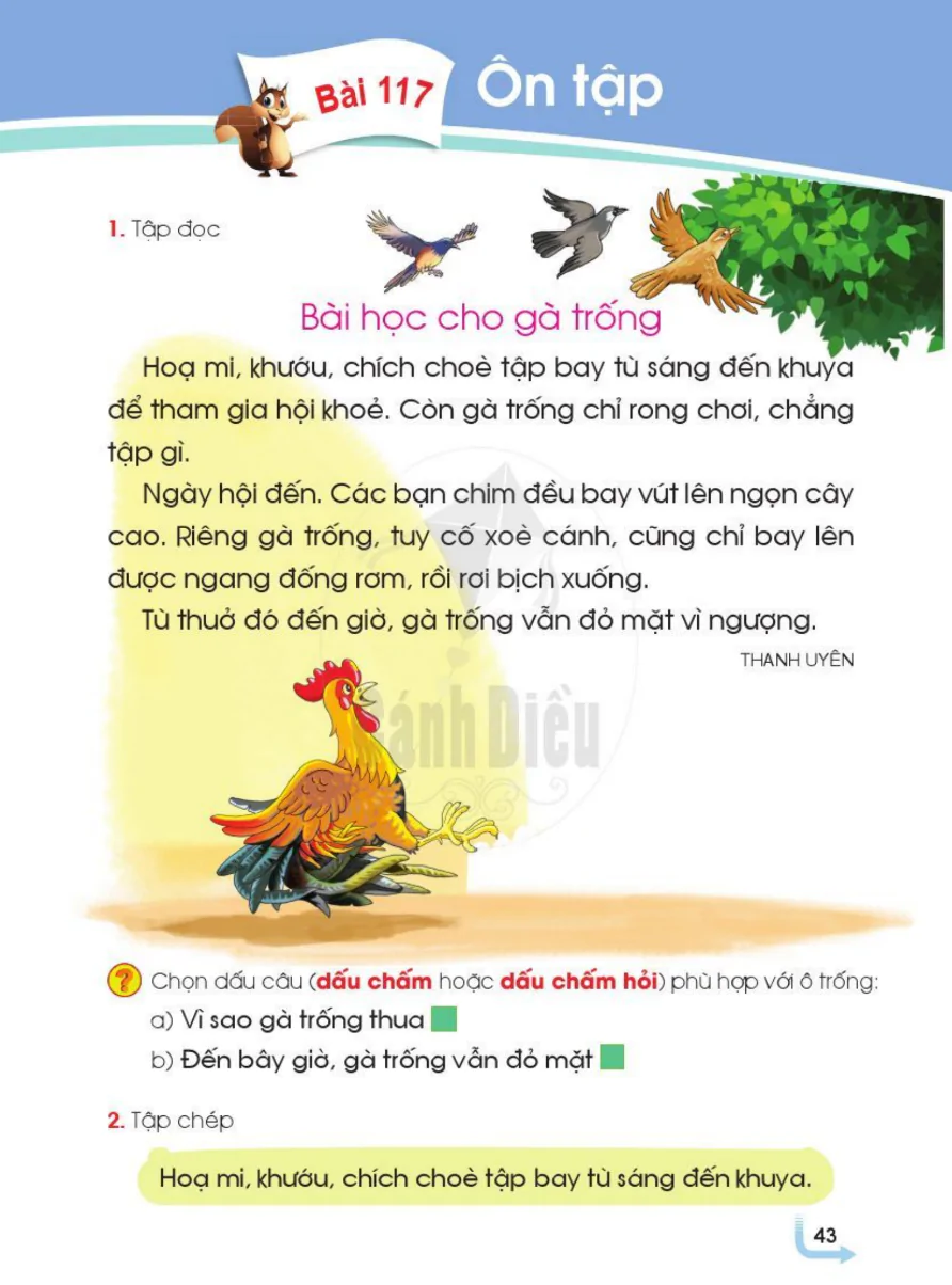 Bài 117: Ôn Tập