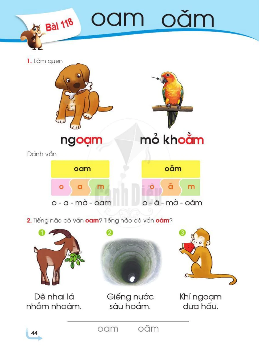 Bài 118: oam oăm
