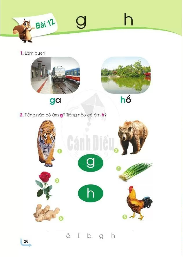 Bài 12: g   h