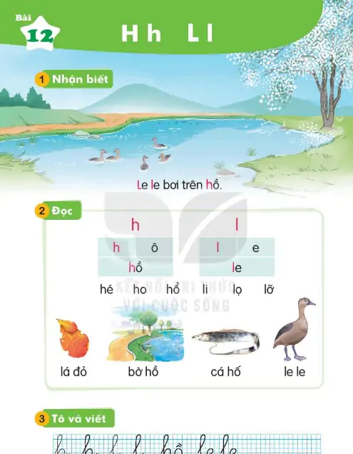 Bài 12: H h L l