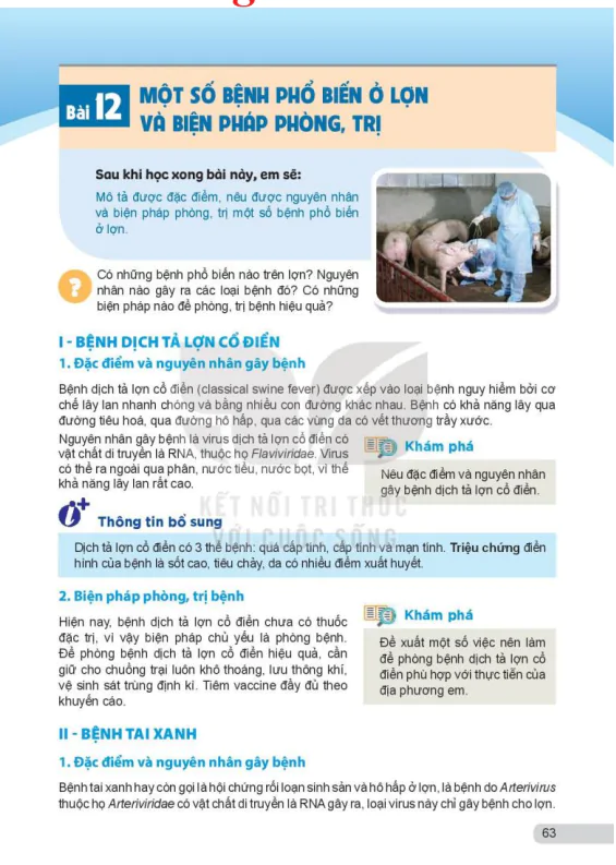 Bài 12: Một số bệnh phổ biến ở lợn và biện pháp phòng, trị