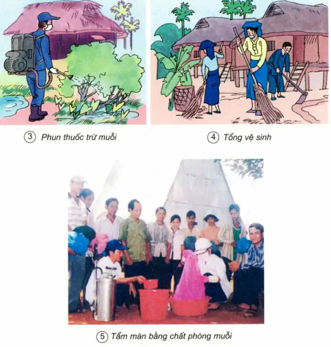 Bài 12. Phòng bệnh sốt rét