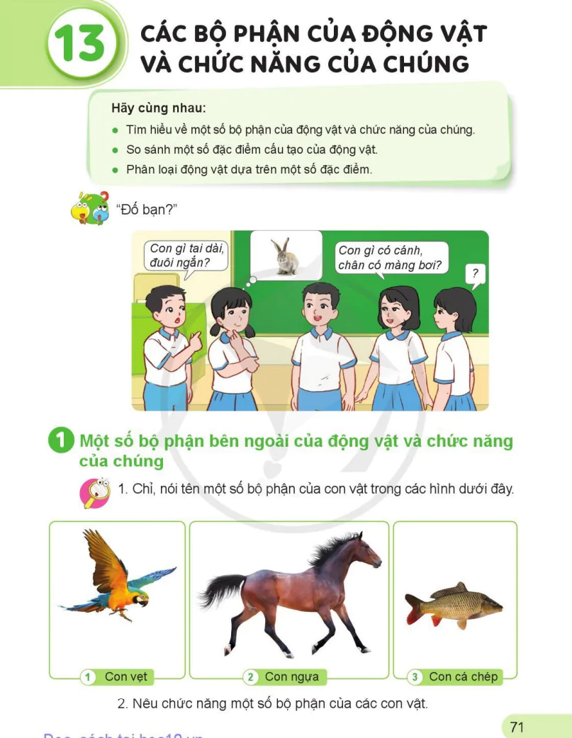 Bài 13: Các Bộ Phận Của Động Vật Và Chức Năng Của Chúng