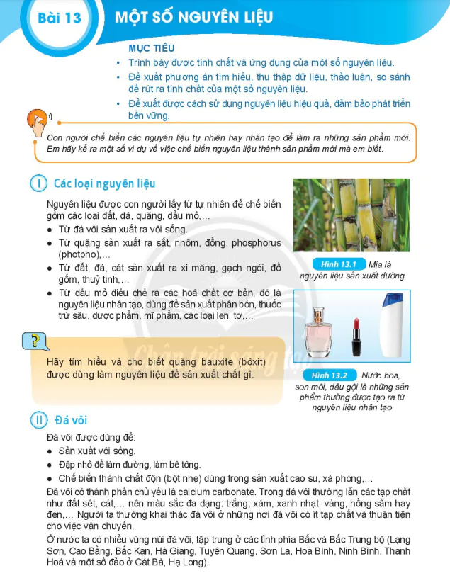 Bài 13: MỘT SỐ NGUYÊN LIỆU