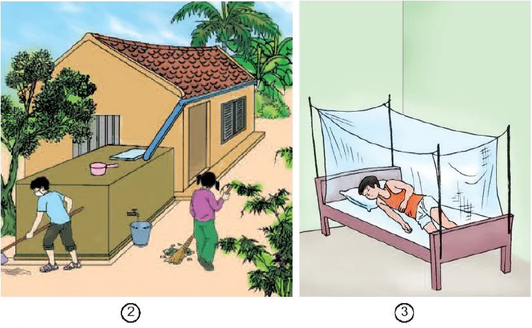 Bài 13. Phòng bệnh sốt xuất huyết