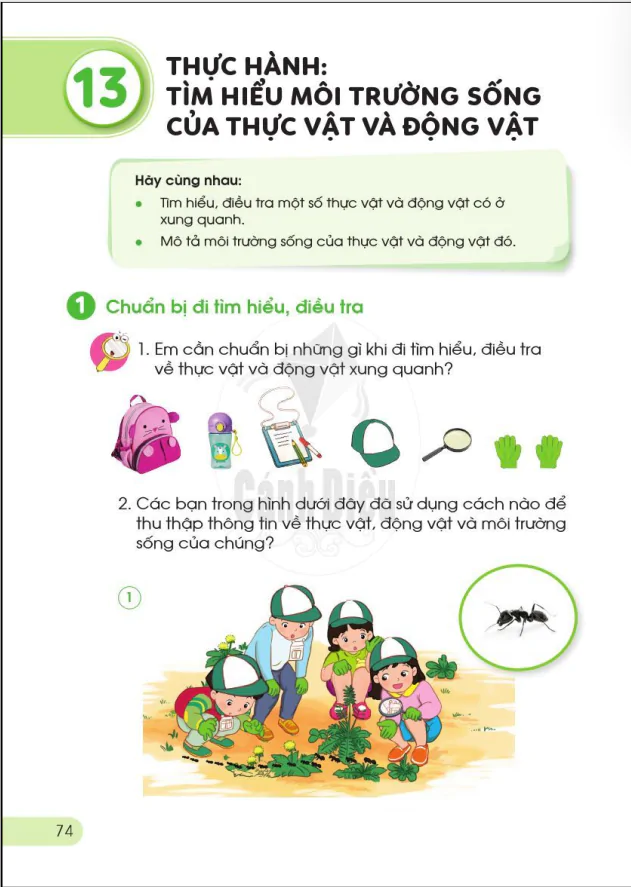 BÀI 13: THỰC HÀNH: TÌM HIỂU MÔI TRƯỜNG SỐNG CỦA THỰC VẬT VÀ ĐỘNG VẬT