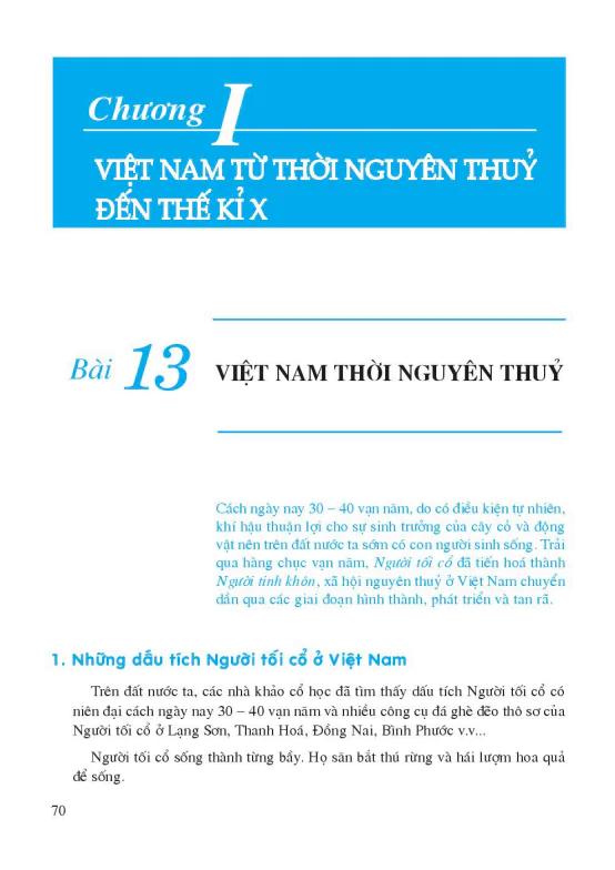 Bài 13: Việt Nam thời nguyên thủy 
