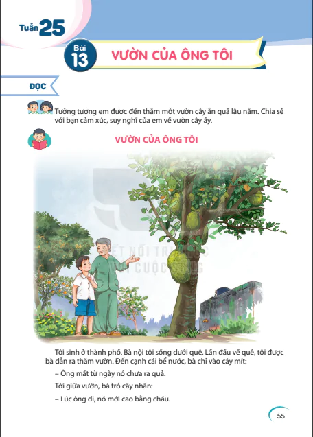 BÀI 13: VƯỜN CỦA ÔNG TÔI