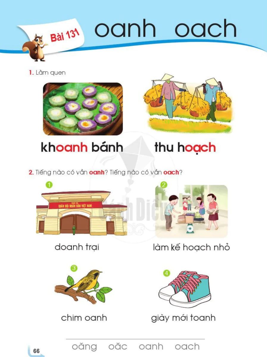 Bài 131: oanh oach