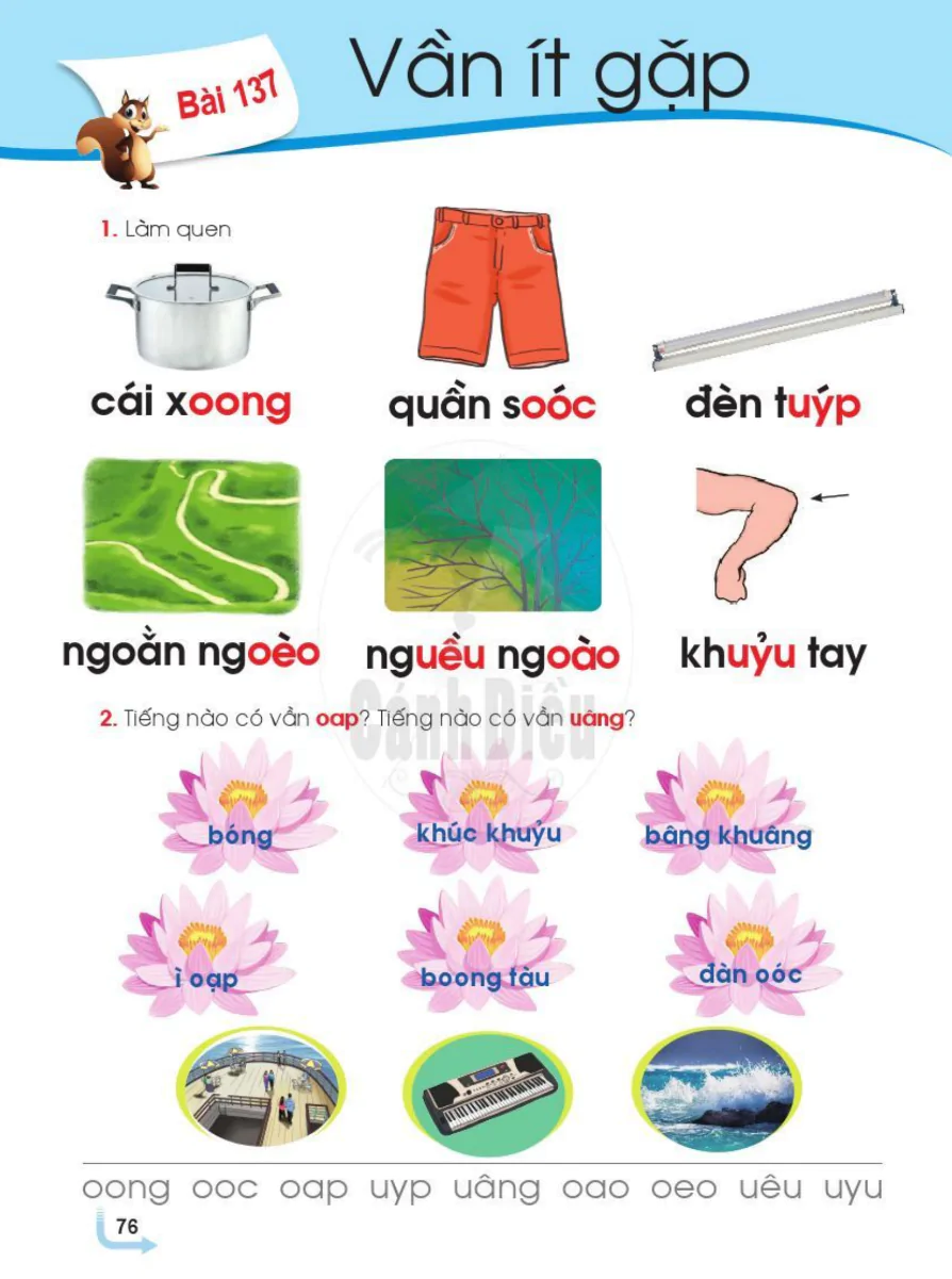 Bài 137: Vần Ít Gặp