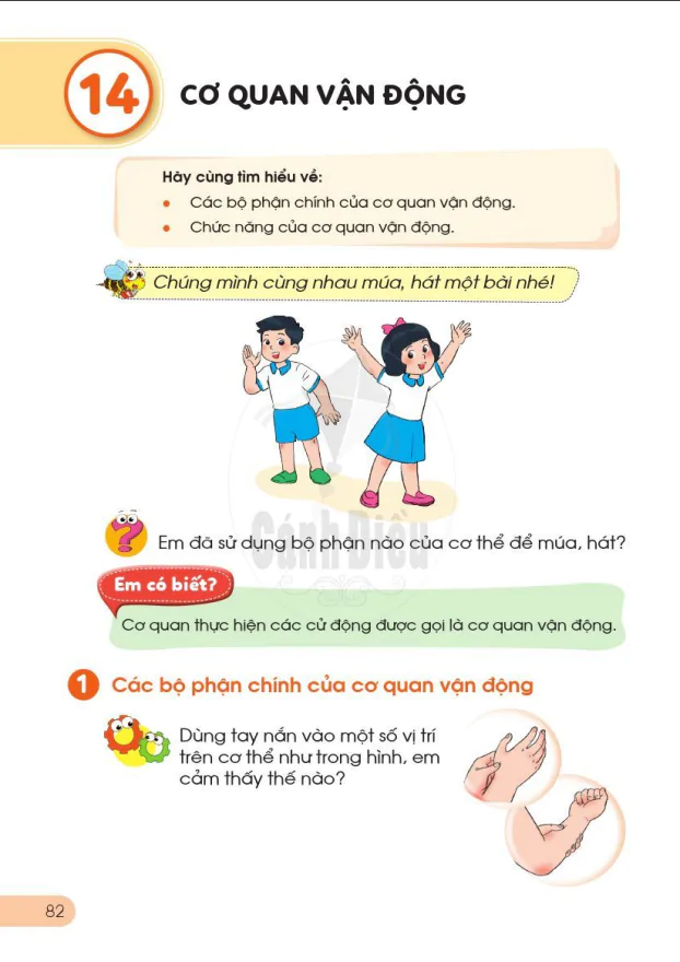 BÀI 14: CƠ QUAN VẬN ĐỘNG