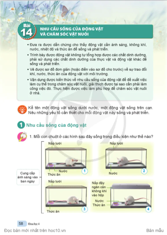 BÀI 14: NHU CẦU SỐNG CỦA ĐỘNG VẬT VÀ CHĂM SÓC VẬT NUÔI