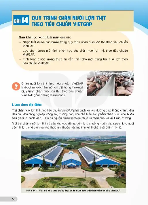 Bài 14: Quy Trình Chăn Nuôi Lợn Thịt Theo Tiêu Chuẩn VietGAP