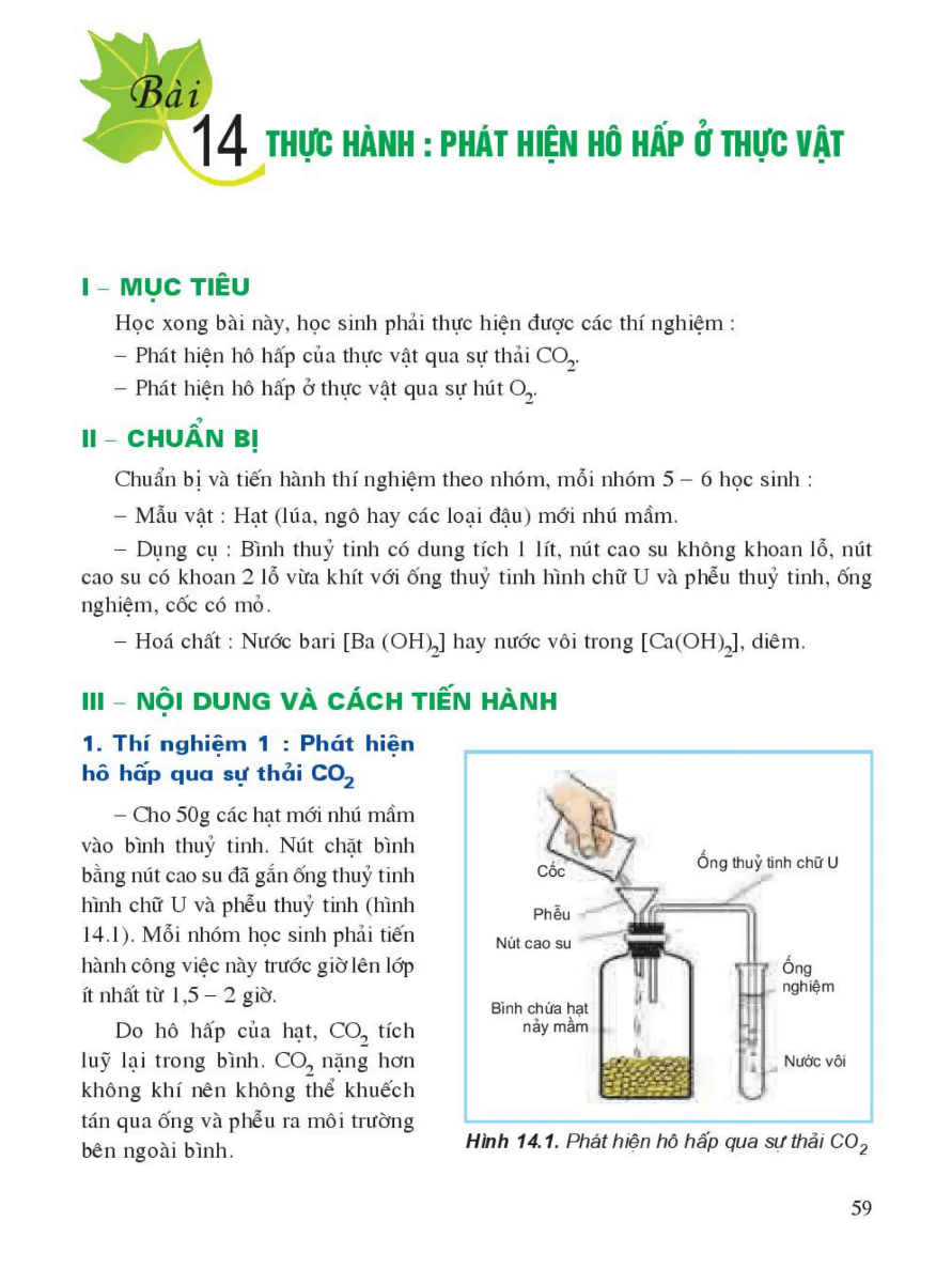 Bài 14: Thực Hành: Phát Hiện Hô Hấp Ở Thực Vật